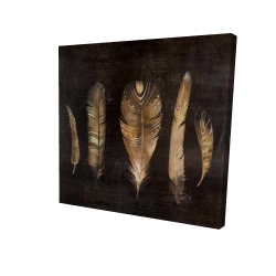 Brown feather set