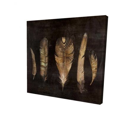 Brown feather set