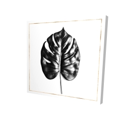 Philodendron à feuilles divisées avec lignes dorées