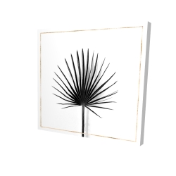 Cabbage palm leaf with gold lines