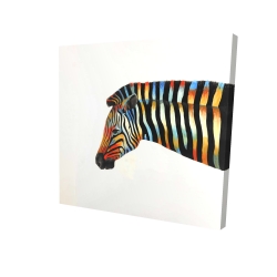 Colorful zebra