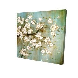 White cherry blossom