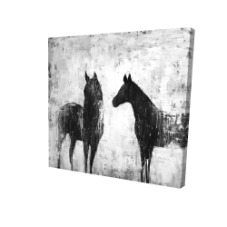 Chevaux blancs et noirs