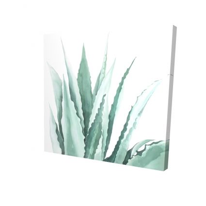Watercolor agave plant