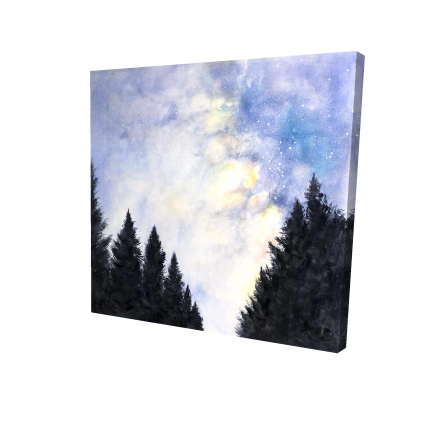 Ciel étoilé en forêt