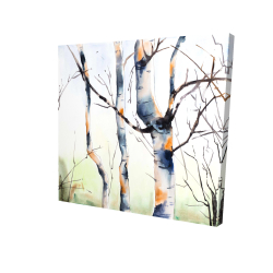 Three small birch trees