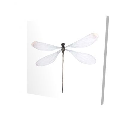 Libéllule minimaliste