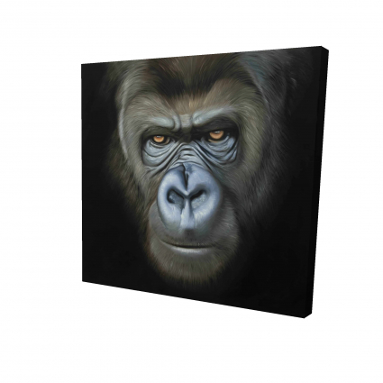 Visage de gorille