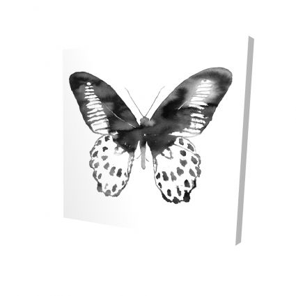 Papillon noir