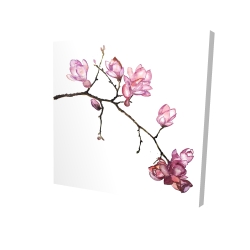 Branch of cherry blossoms