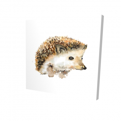 Watercolor hedgehog