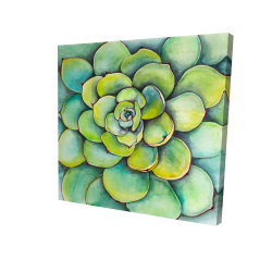 Succulent à l'aquarelle