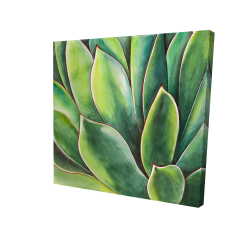 Plante d'agave à l'aquarelle