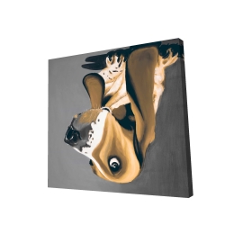 Gold basset hound dog