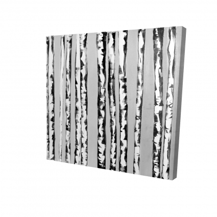 Birches black and white