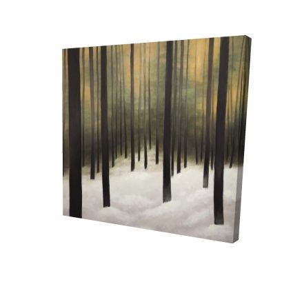 Forêt silencieuse
