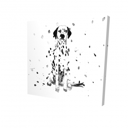 Chien dalmatien