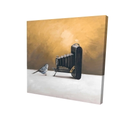 Old camera with bird