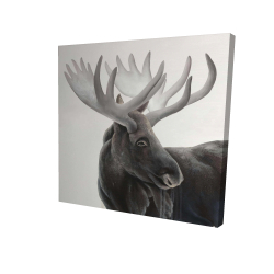 Grayscale moose profile