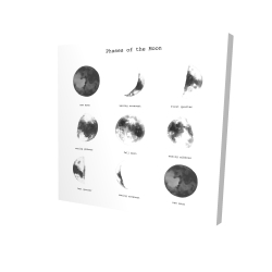 Phases of the moon