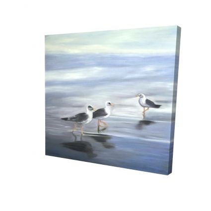 Three gulls