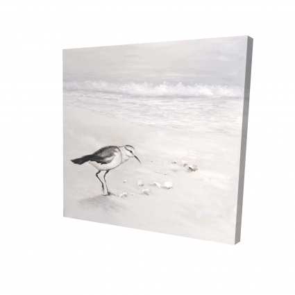 Semipalmated sandpiper