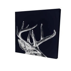 Blue roe deer plume