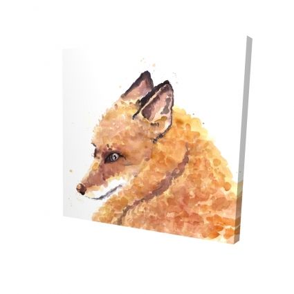 Renard