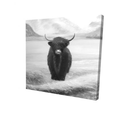 Vache highland monochrome