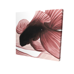Deux betta rouge