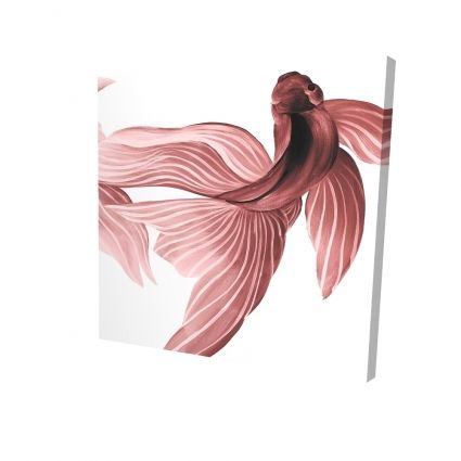 Red betta fish