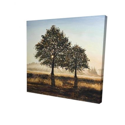 Arbres à la campagne