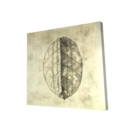 Translucent