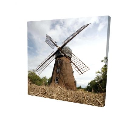 Windmill
