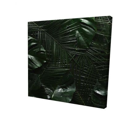 Tropical jungle