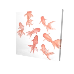 Petits poissons noirs