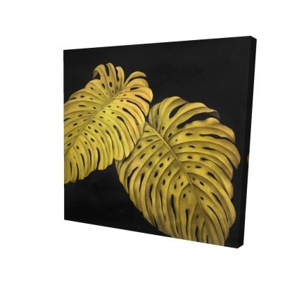Gold monstera