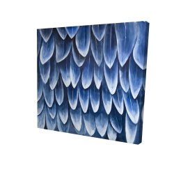 Plumage bleu