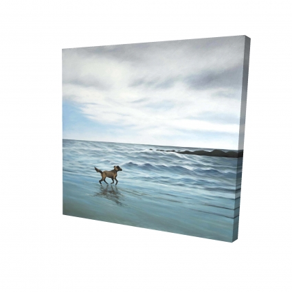 Dog on the beach