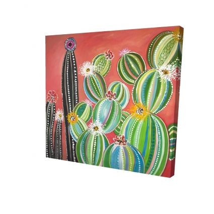Cactus en arc-en-ciel