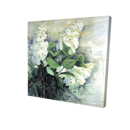 Lilas blanc