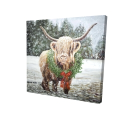 Vache highland de noël