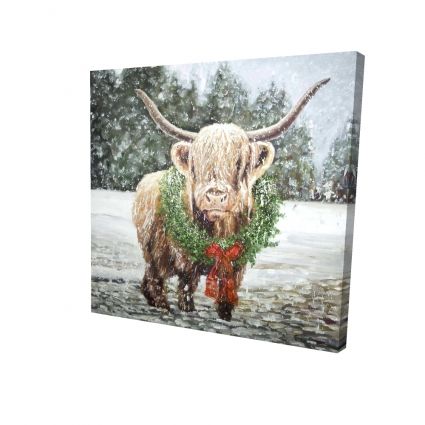 Highland christmas cow