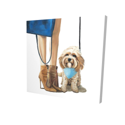 Chien cavoodle à la mode