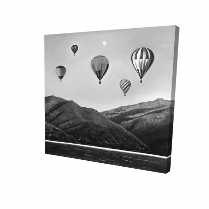Air balloon landscape