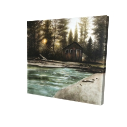 Cabane dans le bois