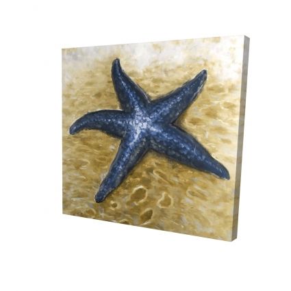 Beautiful starfish
