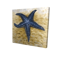 étoile de mer bleu