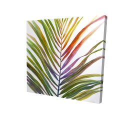 Feuille de palmier tropical