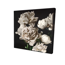 Pivoines beige